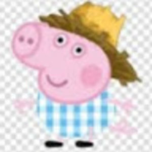 Meet your Posher, Zoe